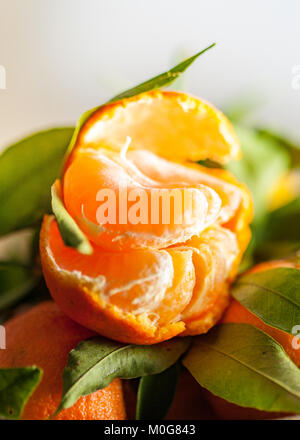 Eine Nahaufnahme eines frisch geschält saftige Clementine mit grünen Blättern auf einer Spitze des während Clementinen Stockfoto