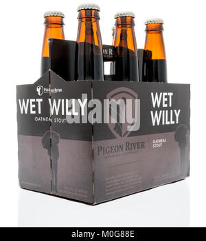 Winneconne, WI - 17. Januar 2018: ein Six Pack von Wet Willy oatmeal Stout Bier auf einem isolierten Hintergrund. Stockfoto