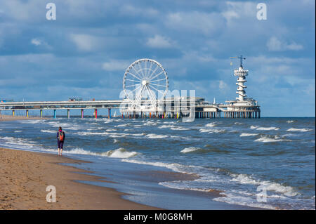 Junge Frau alleine zu Fuß am Strand, in der Nähe von Scheveningen Pier, an der Nordsee Beach Resort von Scheveningen, Den Haag (Den Haag), Niederlande Stockfoto