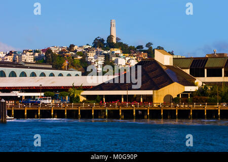 Coit Tower in San Francisco Stockfoto