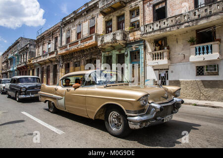 Klassische amerikanische Autos in der Altstadt von Havanna, Kuba Stockfoto