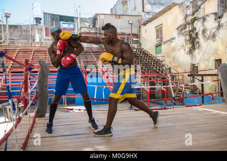 Ausbildung Boxer an Rafael Trejo Boxing Gym in Havanna, Kuba Stockfoto