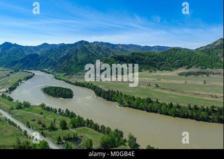 Ein mountain river Streaming zwischen Wald Banken im Sommer Stockfoto