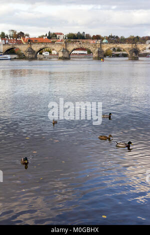 Die berühmte Karlsbrücke und der Moldau in Prag auf einem herbstnachmittag. Stockfoto