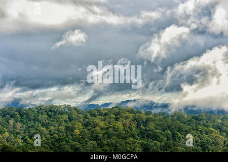 Morgennebel über primären Regenwald, Danum Valley Conservation Area, Borneo, Sabah, Malaysia Stockfoto