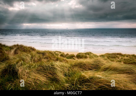 Windiges Wetter oben auf einer Düne, von denen aus man einen abgehackt Küste an einem Sandstrand Stockfoto