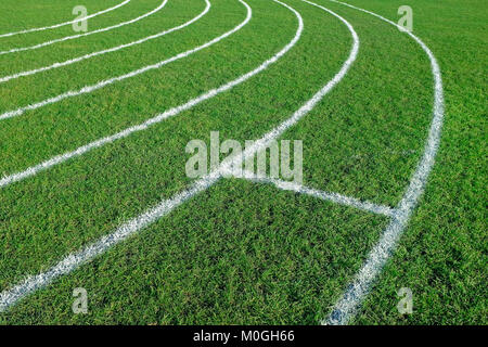 Geschwungene weiße Linien auf grünem Gras Athletik Laufstrecke lackiert Stockfoto