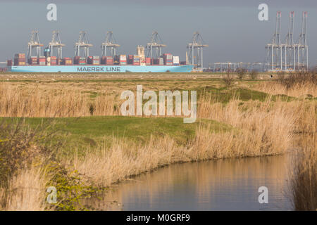 Cliffe, Kent, Vereinigtes Königreich. 22 Jan, 2018. Monaco Maersk - eines der größten Containerschiffe der Welt - Bild heute in London Gateway Containerhafen in Essex. Die 399 Meter lange Schiff ist auf ihrem Antrittsbesuch in Europa und ist im Bild von über die Themse in die cliffe Sümpfe auf der Hoo-Halbinsel. Credit: Rob Powell/Alamy leben Nachrichten Stockfoto