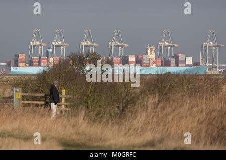 Cliffe, Kent, Vereinigtes Königreich. 22 Jan, 2018. Monaco Maersk - eines der größten Containerschiffe der Welt - Bild heute in London Gateway Containerhafen in Essex. Die 399 Meter lange Schiff ist auf ihrem Antrittsbesuch in Europa und ist im Bild von über die Themse in die cliffe Sümpfe auf der Hoo-Halbinsel. Credit: Rob Powell/Alamy leben Nachrichten Stockfoto