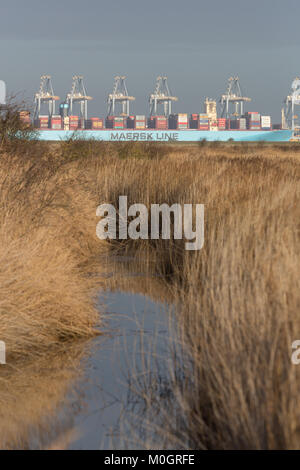 Cliffe, Kent, Vereinigtes Königreich. 22 Jan, 2018. Monaco Maersk - eines der größten Containerschiffe der Welt - Bild heute in London Gateway Containerhafen in Essex. Die 399 Meter lange Schiff ist auf ihrem Antrittsbesuch in Europa und ist im Bild von über die Themse in die cliffe Sümpfe auf der Hoo-Halbinsel. Credit: Rob Powell/Alamy leben Nachrichten Stockfoto