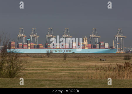 Cliffe, Kent, Vereinigtes Königreich. 22 Jan, 2018. Monaco Maersk - eines der größten Containerschiffe der Welt - Bild heute in London Gateway Containerhafen in Essex. Die 399 Meter lange Schiff ist auf ihrem Antrittsbesuch in Europa und ist im Bild von über die Themse in die cliffe Sümpfe auf der Hoo-Halbinsel. Credit: Rob Powell/Alamy leben Nachrichten Stockfoto