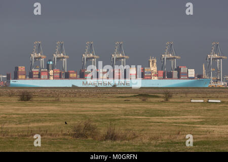 Cliffe, Kent, Vereinigtes Königreich. 22 Jan, 2018. Monaco Maersk - eines der größten Containerschiffe der Welt - Bild heute in London Gateway Containerhafen in Essex. Die 399 Meter lange Schiff ist auf ihrem Antrittsbesuch in Europa und ist im Bild von über die Themse in die cliffe Sümpfe auf der Hoo-Halbinsel. Credit: Rob Powell/Alamy leben Nachrichten Stockfoto