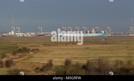 Cliffe, Kent, Vereinigtes Königreich. 22 Jan, 2018. Monaco Maersk - eines der größten Containerschiffe der Welt - Bild heute in London Gateway Containerhafen in Essex. Die 399 Meter lange Schiff ist auf ihrem Antrittsbesuch in Europa und ist im Bild von über die Themse in die cliffe Sümpfe auf der Hoo-Halbinsel. Credit: Rob Powell/Alamy leben Nachrichten Stockfoto