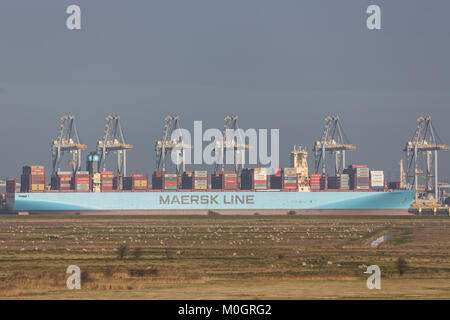 Cliffe, Kent, Vereinigtes Königreich. 22 Jan, 2018. Monaco Maersk - eines der größten Containerschiffe der Welt - Bild heute in London Gateway Containerhafen in Essex. Die 399 Meter lange Schiff ist auf ihrem Antrittsbesuch in Europa und ist im Bild von über die Themse in die cliffe Sümpfe auf der Hoo-Halbinsel. Credit: Rob Powell/Alamy leben Nachrichten Stockfoto