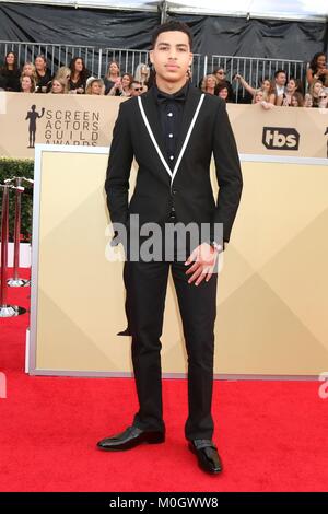 Bei der Ankunft für 24. jährlichen Screen Actors Guild Awards - Ankünfte 2, Shrine Auditorium, Los Angeles, CA 21. Januar 2018. Foto von: Priscilla Grant/Everett Collection Stockfoto