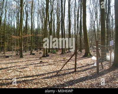 Dieses Bild zeigt das Forschungsfeld in Isernhagen, Calvörde, Deutschland, das wissenschaftliche oder landwirtschaftliche Studien im Jahr 2012 dokumentiert. Stockfoto