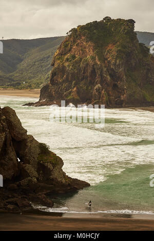 Ein surfer Köpfe heraus in die Wellen an der Piha Beach, North Island, Neuseeland Stockfoto