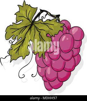 Der Traube, Vektor, Abbildung Stock Vektor