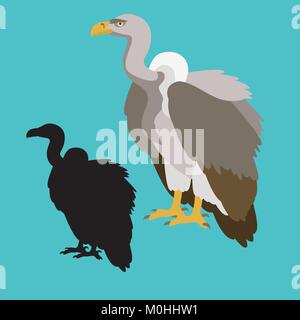 Weiß rumped Geier schwarze Silhouette Vektor-illustration Flat Style eingestellt Stock Vektor