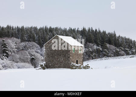 Traditionelle Scheune in Schnee, Holwick, Teesdale, County Durham, UK Stockfoto