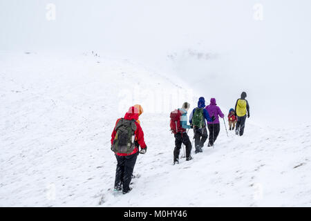 Wandern Gruppe im Winter. Wanderer zu Fuß durch Schnee auf Kinder Scout, Derbyshire, Peak District, England, Großbritannien Stockfoto