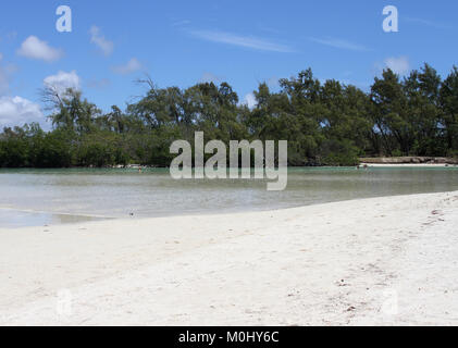 Strand und Wald-Patch auf der Ile Aux Cerfs, eine privat geführte Insel in der Nähe der Ostküste von Republik von Mauritius im Stadtteil Flacq. Stockfoto