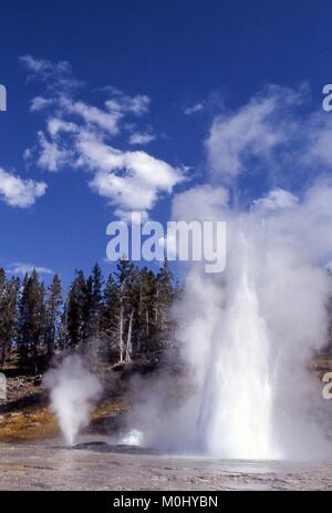 Die Entlüftungsöffnung, Turban, und Grand Geysire in der Upper Geyser Basin an der Yellowstone National Park September 9, 1999 in Wyoming. Stockfoto