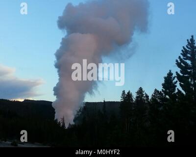 Der Steamboat Geysir bricht bei Sonnenuntergang in der Norris Geyser Basin an der Yellowstone National Park 31. Juli, 2013 in Wyoming. Stockfoto