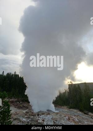 Der Steamboat Geysir bricht in der Norris Geyser Basin an der Yellowstone National Park 31. Juli, 2013 in Wyoming. Stockfoto