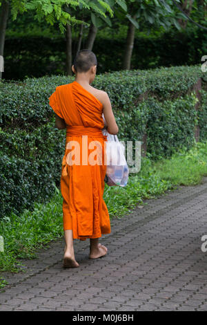 Asien, Thailand, Chiang Mai, buddhistische Mönche Stockfoto