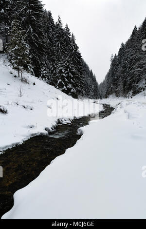 Schöne Landschaft mit einem Gebirgsfluss im Winter Stockfoto