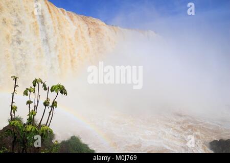 Iguazu Fälle - spektakuläre Wasserfälle auf Brasilien und Argentinien. Nationalpark und UNESCO-Weltkulturerbe. Garganta del Diablo aus Braz gesehen Stockfoto