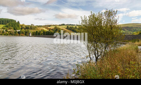 Blick über die llwyn - am Stausee in der Nähe von Merthyr Tydfil, Mid Glamorgan, Wales, Großbritannien Stockfoto
