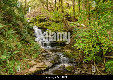 Ein Wasserfall im Blaen-y-Glyn in der Nähe von Torpantau, Powys, Wales, Großbritannien Stockfoto