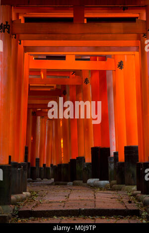 Eine Laterne haengt entlang der Torii Weg des Fushimi Inari in Kyoto, Japan. Stockfoto