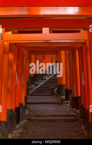 Eine Laterne haengt entlang der Torii Weg des Fushimi Inari in Kyoto, Japan. Stockfoto