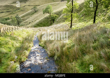 Landschaft stream. Der Fluss fließt, Noe am Fuße des Horsehill Tor in das Tal von Alfreton, Derbyshire, Peak District National Park, England, Großbritannien Stockfoto