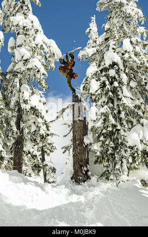 Eine professionelle Snowboarder, dreht sich in der Luft ein Miller Flip in die schneebedeckte Bäume; British Columbia, Kanada Stockfoto