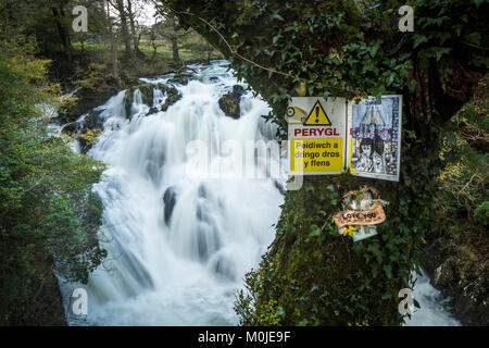 Swallow Falls ist die Bezeichnung für den Rhaeadr Ewynnol, ein Vielfaches Wasserfall System in Wales, auf der Afon Llugwy in der Nähe von Betws-y-Coed, in Conwy County B Stockfoto