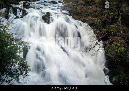 Swallow Falls ist die Bezeichnung für den Rhaeadr Ewynnol, ein Vielfaches Wasserfall System in Wales, auf der Afon Llugwy in der Nähe von Betws-y-Coed, in Conwy County B Stockfoto