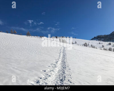 Val Maira, Piemont - Italien; verschneite Berglandschaft mit Stapel von Brennholz Stockfoto