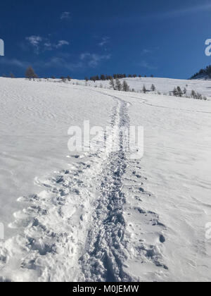 Val Maira, Piemont - Italien; verschneite Berglandschaft mit Stapel von Brennholz Stockfoto