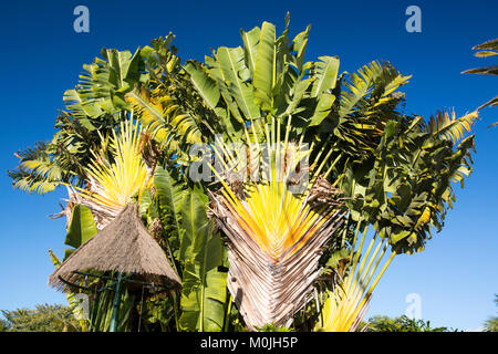 Die Anlage des Hotels Jarden Tecina in Playa Santiago, La Gomera, Kanarische Inseln. Stockfoto