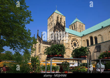 St. Paulus-Dom, Münster mit den Bauern, Münster, Westfalen, Nordrhein-Westfalen, Deutschland Stockfoto