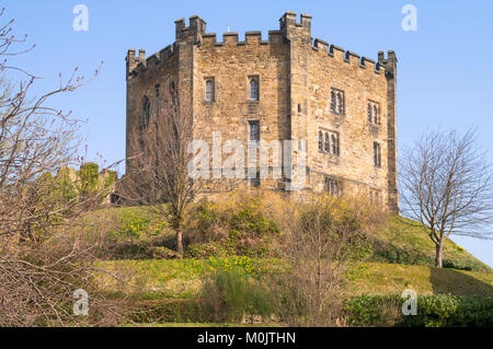 Frühling Blick auf Durham University College Schloss halten, North East England Großbritannien Stockfoto