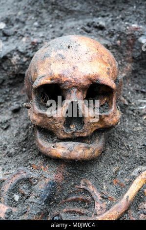 Archäologische Ausgrabung mit Schädel noch halb in die Erde eingegraben. Der Schädel haben keine Zähne links Stockfoto