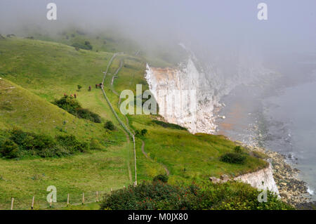 Gehweg über die weißen Klippen von Dover mit Pferden Naturschutz grasen. Misty Nebel über den Ärmelkanal. Meer Nebel. Exmoor Ponys grasen Stockfoto