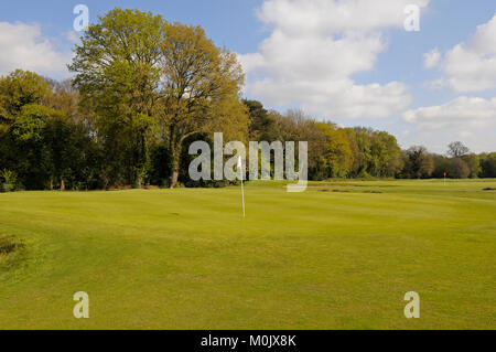 Ansicht des 18. Grün auf dem alten Kurs, Walton Heath Golf Club, Walton-on-the-Hill, Surrey, England Stockfoto