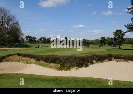 Blick auf die Fahrrinne Bunker auf dem 16 Grün auf dem alten Kurs, Walton Heath Golf Club, Walton-on-the-Hill, Surrey, England Stockfoto