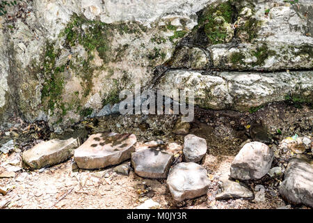 Wasser aus dem Stein. Einen Stream läuft entlang der Felsen Stockfoto